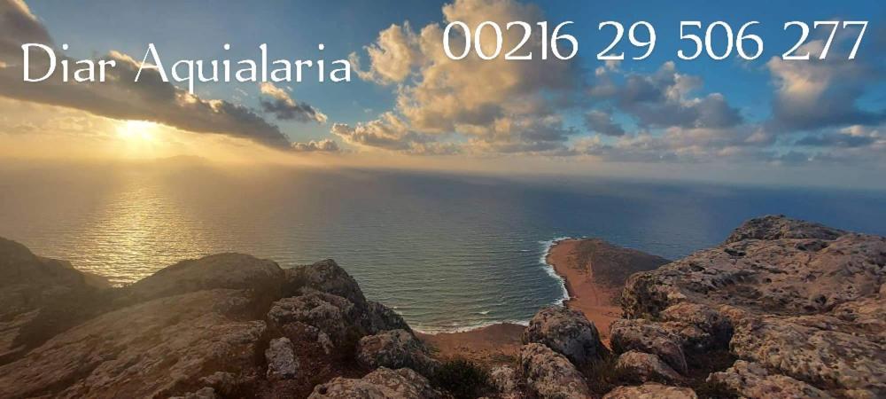 Residence Aquilaria Dar Narjes Эль-Хавария Экстерьер фото